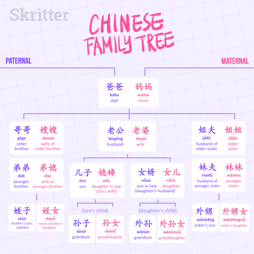 The Chinese Family Tree > Skritter Blog
